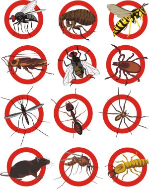 Comment désinfecter un restaurant après une infestation