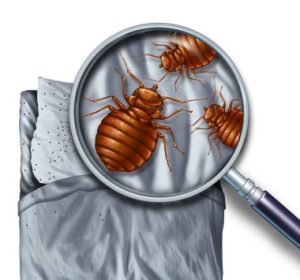 Comment désinfecter un campus universitaire après une épidémie