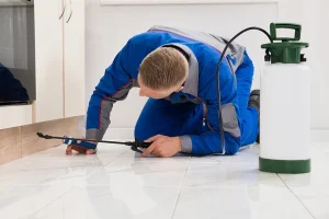 Les meilleures pratiques pour désinfecter un centre commercial