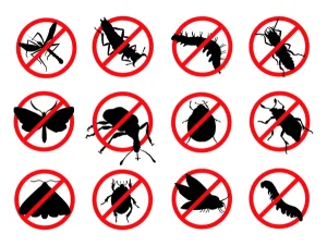 Comment désinsectiser une zone résidentielle collective