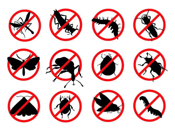Comment protéger votre maison des insectes