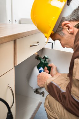 Comment les solutions écologiques révolutionnent la lutte contre les nuisibles