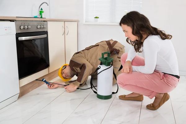 Les méthodes de prévention des nuisibles les plus respectueuses de l’environnement