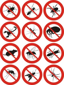 Comment désinsectiser un parc public